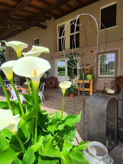 Cooking Class in Cascina: Corso di Cucina Tradizionale tra le campagne del Garda 3